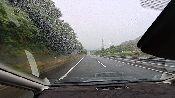 <雨に降られました。>