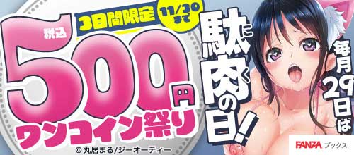 ＜毎月29日は駄肉（にく）の日！税込500円祭り！＞